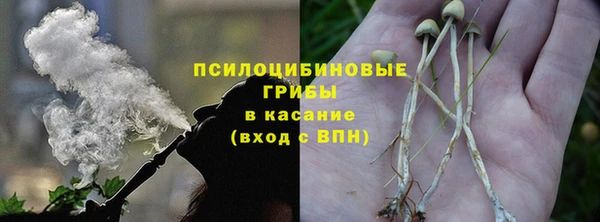 2c-b Белокуриха