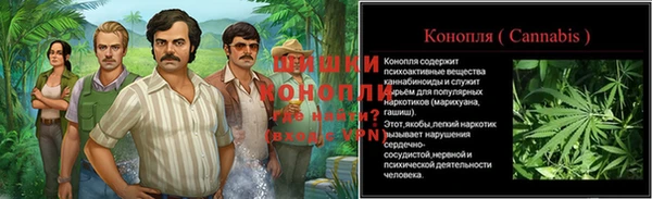 2c-b Белокуриха