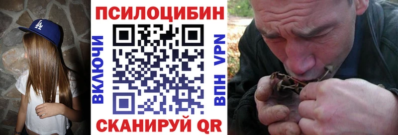 купить Катав-Ивановск Псилоцибиновые грибы прущие грибы